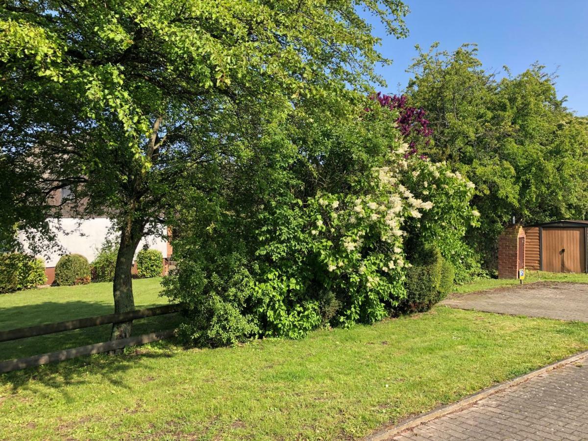 Ferienanlage Bullerbue Lohme Exteriör bild
